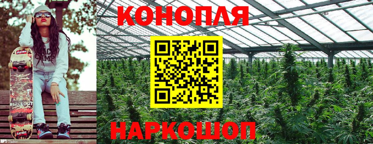Бошки марихуана SATIVA & INDICA  Шишки марихуана семена  Вход с VPN  Канабис White Widow  Мариинск  Бошки марихуана конопля 